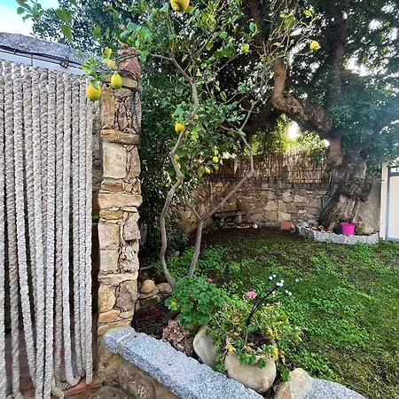 Apartman Il Glicine