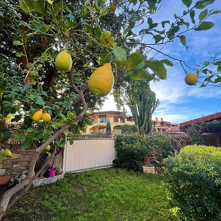 Appartement Il Glicine