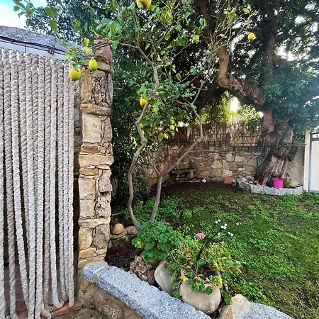 Apartment Il Glicine