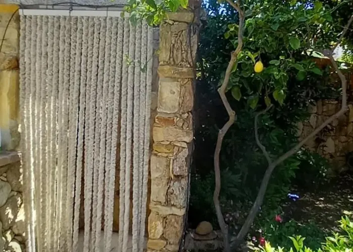 Il Glicine * فيلاّسيمِيوس