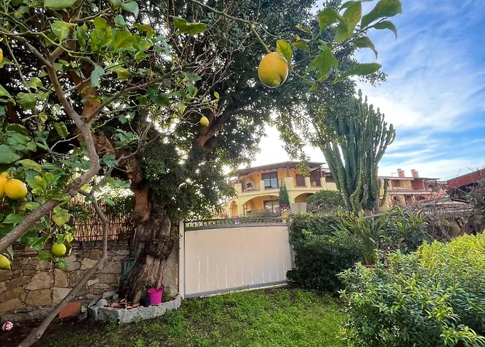 Il Glicine * فيلاّسيمِيوس