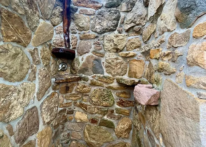 Il Glicine فيلاّسيمِيوس